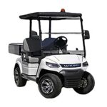 LV Tong LT-A827.2-CARGO - 2 Seater SWB Ute Cart